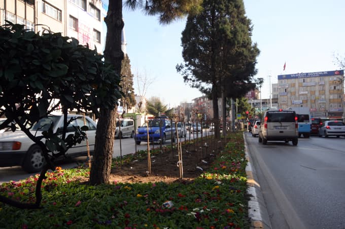Cıvıl cıvıl bir Bulvar için...