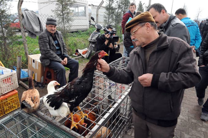 Kuş meraklıları, pazarda buluşuyor