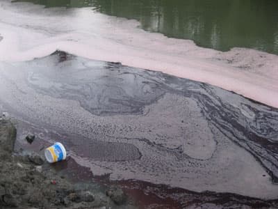 Sakarya Nehri Kan Ağlıyor