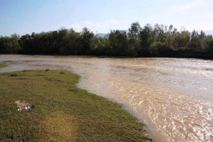 SAÜ'lü akademisyenden Sapanca Gölü için farklı bir proje