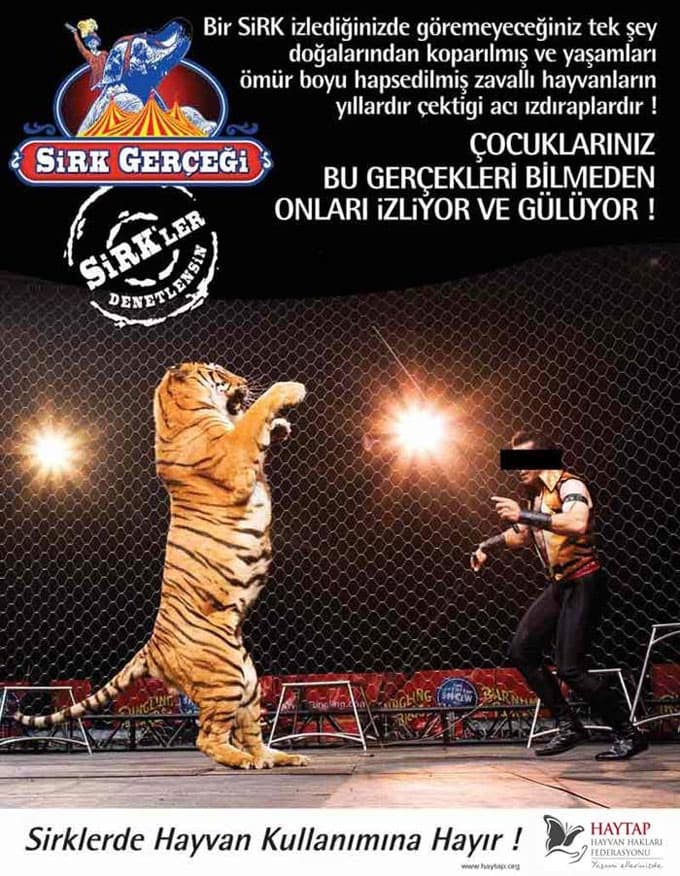 HAYTAP, sirklerde hayvan kullanımına tepki gösterdi