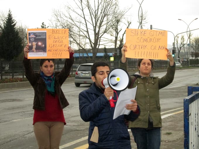 Hayvan Hakları Gönülleri'nden, 3 kişilik eylem