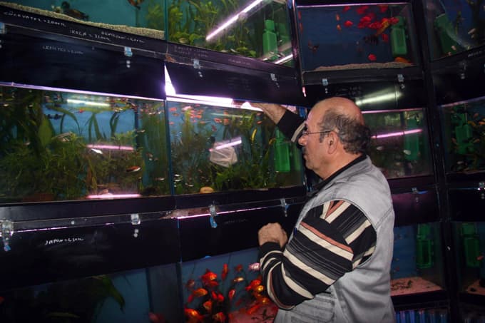 20 Pet Shop denetlendi