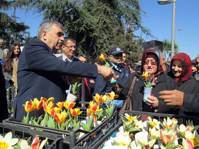 20 bin lale soğanı dağıtıldı