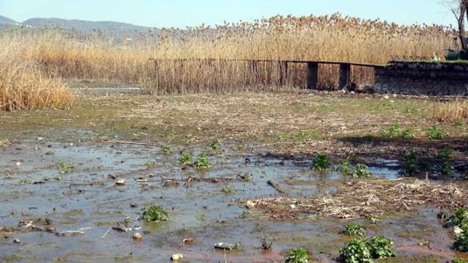 İşte Sapanca Gölü'nün son hali...