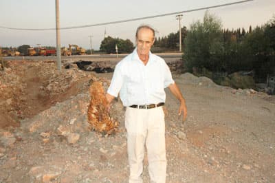 Tavukların Şaşırtıcı Ölümleri!