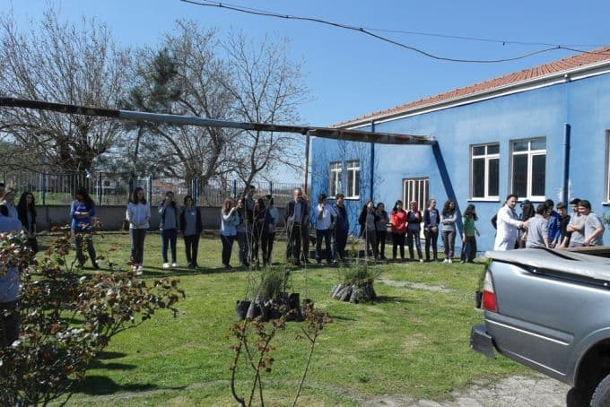 Orman Haftası nedeniyle 100 adet fidan dikildi