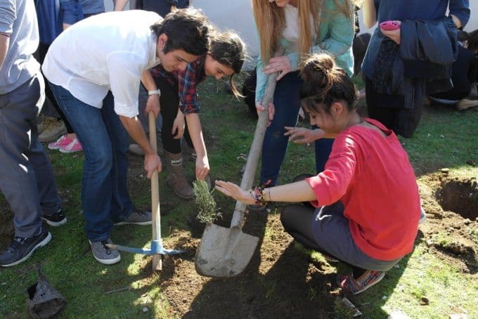 Orman Haftası nedeniyle 100 adet fidan dikildi