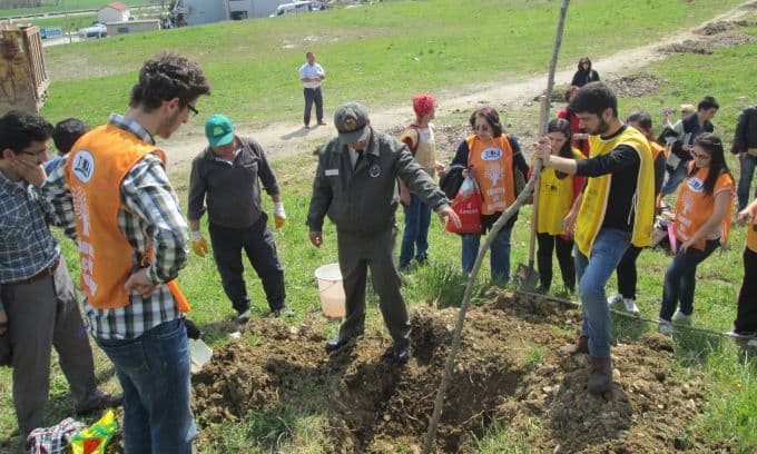 Öldürülen kadınların anısına fidan diktiler