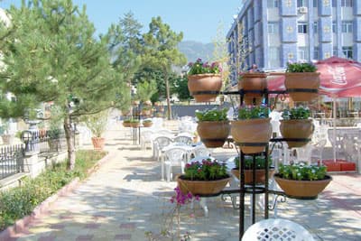 Botanik Bahçesi Gibi Park