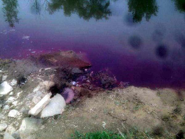 Sakarya Nehri neden kana bulandı?