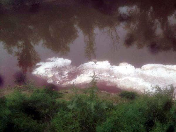 Sakarya Nehri neden kana bulandı?