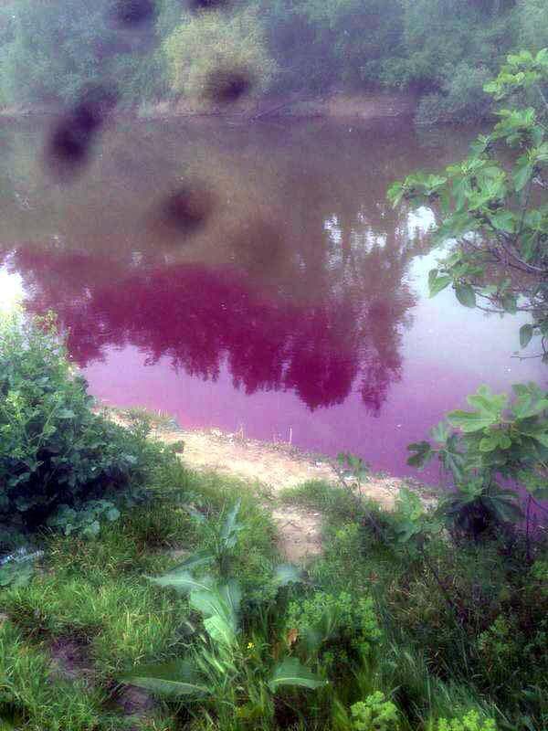 Sakarya Nehri neden kana bulandı?