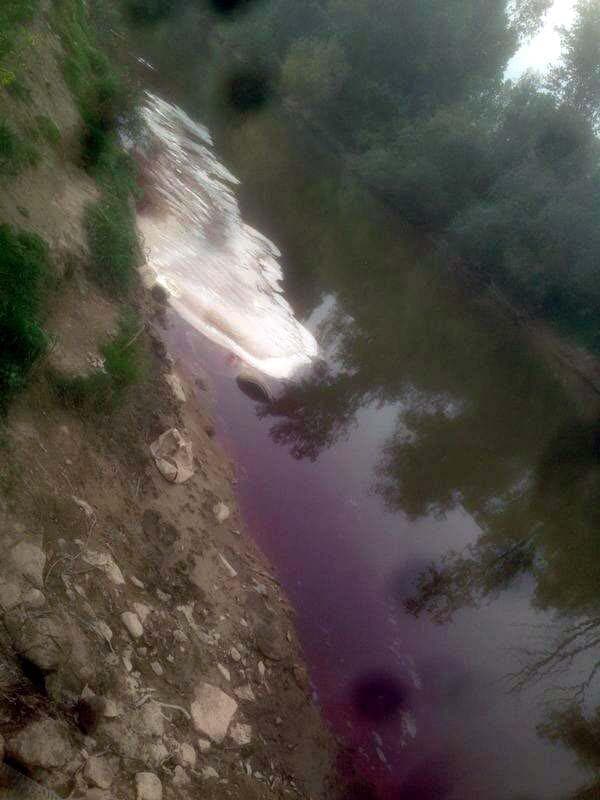 Sakarya Nehri neden kana bulandı?