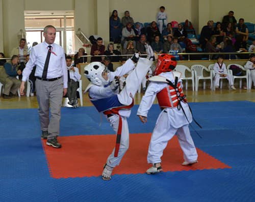 Taekwondo birincisi ve ikincisi Sakarya'dan