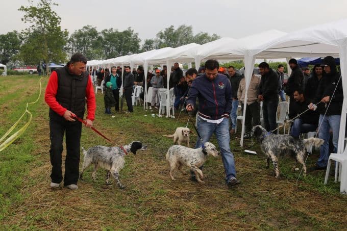 6. Fermalı Av Köpekleri Yarışması yapıldı