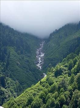 <font face="arial,helvetica,sans-serif" size="2"><strong>Doğal serinlik Ayder Yaylası</strong><br /><br />Ladin ve kayın ormanlarıyla kaplı yayla &Ccedil;amlihemşin il&ccedil;esine 16 km. mesafede. Ayder, zengin florasının yanı sıra kaplıcası ile de b&ouml;lgenin en &ccedil;ok tercih edilen tatil yerlerinden biri.</font>