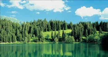 <font face="arial,helvetica,sans-serif" size="2"><strong>Artvin'in her k&ouml;y&uuml; bir yayla</strong><br /><br />Artvin'in de y&uuml;zde 51'ini yaylalar oluşturuyor. Burada, Sahara Yaylası (Savsat), Bilbilan Yaylasi (Ardanuc), Kafkasor Yaylası'nı (Merkez) g&ouml;rebilirsiniz. Vadiler de bunların arkasından gelir.</font>