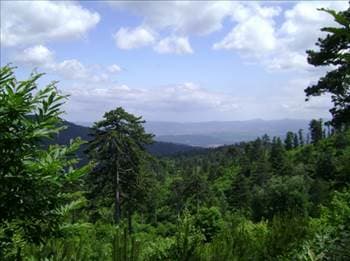 <font face="arial,helvetica,sans-serif" size="2"><strong>Tarih, oksijen ve trekking!</strong><br /><br />&Ccedil;anakkale ve Balıkesir arasında bulunan Kazdağları, yemyeşil doğası, tarihi kalıntıları, dereleri ve şelaleleriyle g&ouml;r&uuml;lmeye değer bir belde.</font>