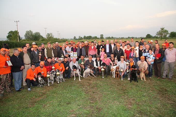 Adapazarı Belediyesi fermalı köpeklerde rekor kırdı