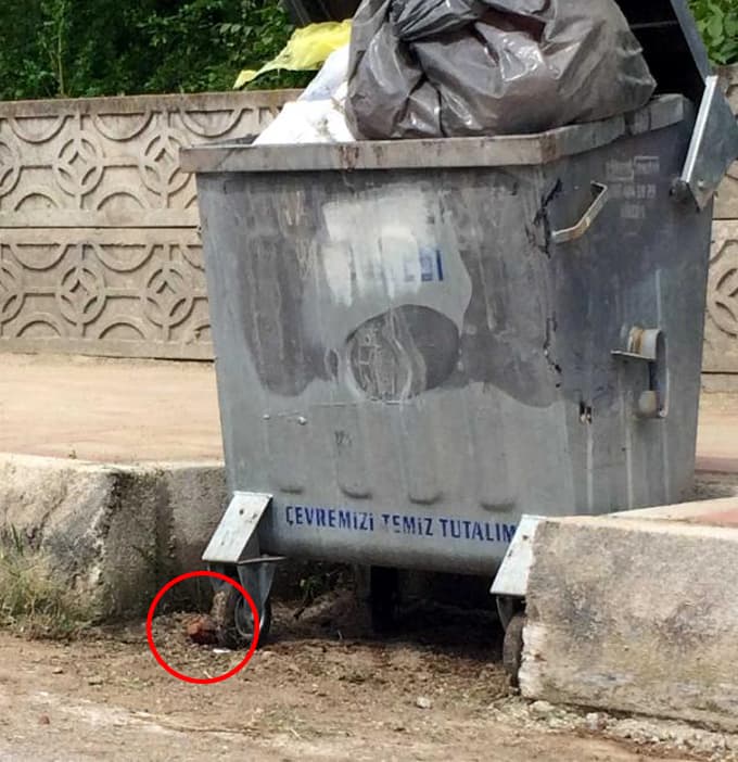 Çöp konteynerinin altında el bombası bulundu