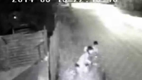 Hırsızlık için girdikleri depoda köpekleri görünce kaçtılar