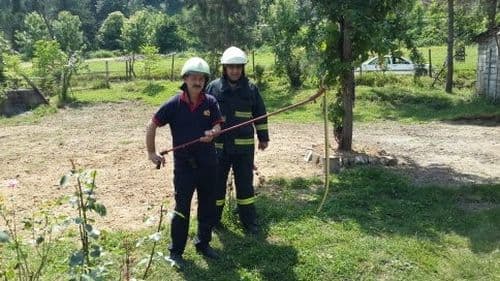 Eve giren yılan korkulu dakikalar yaşattı