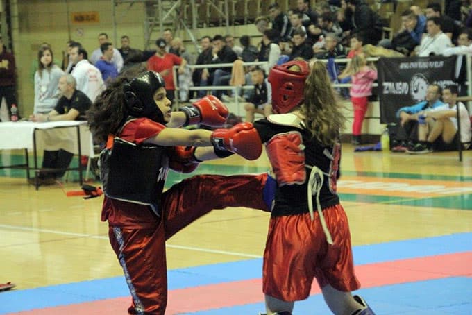 Balkan Ülkeleri 3. Açık Wushu Şampiyonası Sakarya'da yapılacak