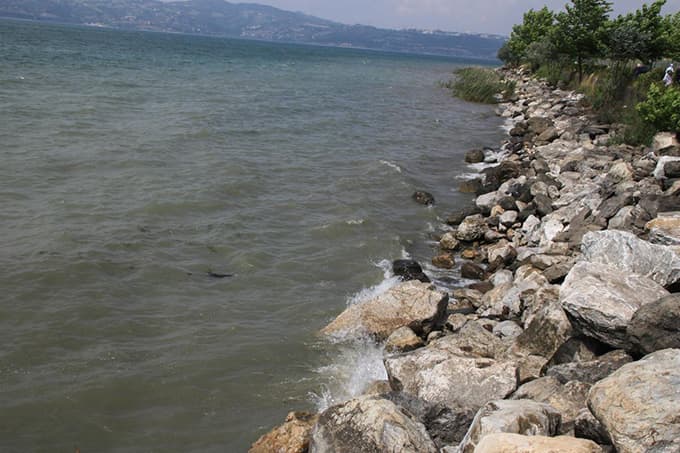 Sapanca'da su seviyesi yükseldi
