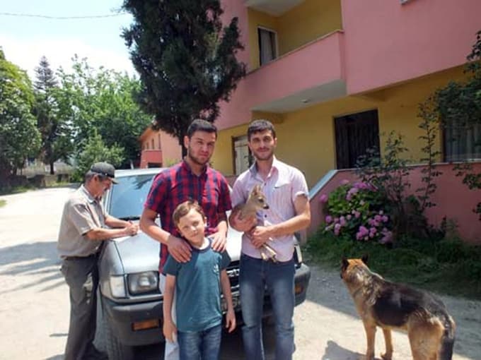 Yavru karaca koruma altına alındı