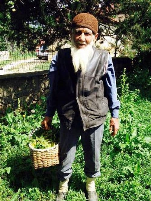 90'lık dede ağacın tepesinde