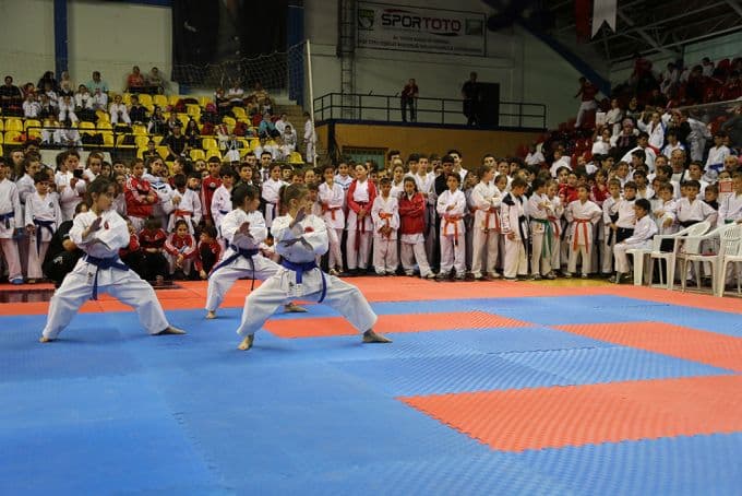 9 ilden 550 karateci Sakarya'da yarıştı