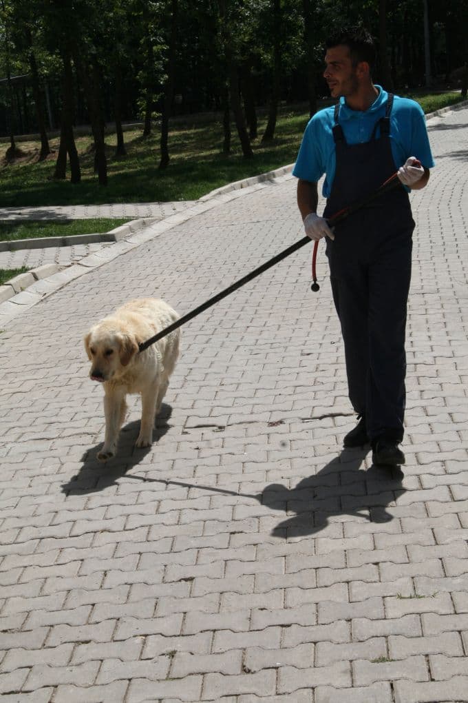 Sahipsiz Hayvanlar Geçici Bakımevi, basına tanıtıldı