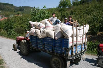 Fındıkçılar Tatmin Olamadı