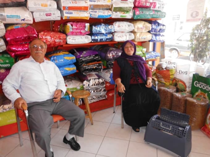 Yavru kediye platin takıldı