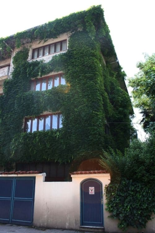 Bu evi görenler dönüp bir daha bakıyor