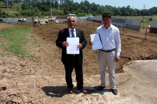 Aldıkları inekler hastalıklı çıktı, besiciler icralık oldu