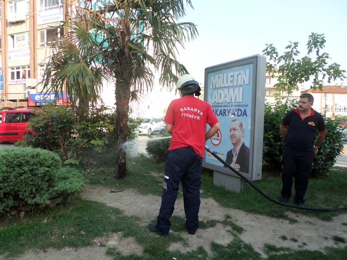 Yanan ağaç itfaiye ekiplerini alarma geçirdi