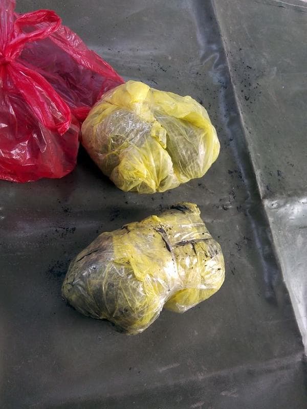 Adli kontrolle serbest kaldı, evinde 1 kilo Bonzai bulundu
