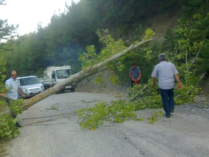 Devrilen ağaç nedeniyle Avdan Mahallesi yolu ulaşıma kapandı
