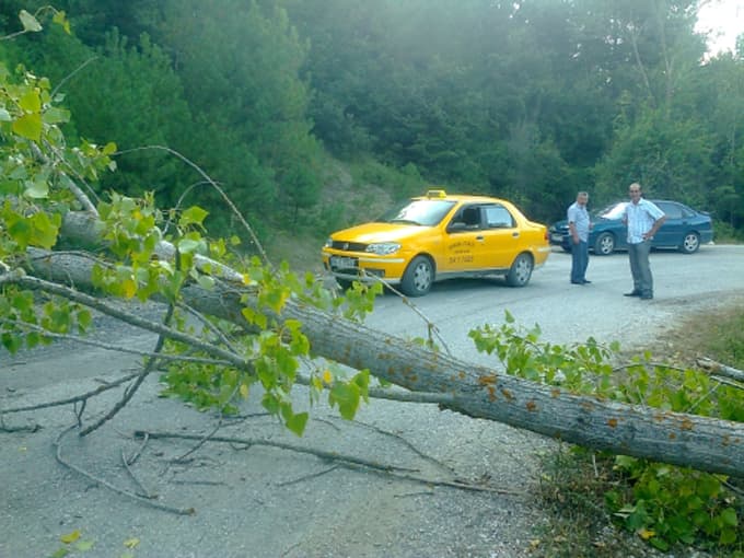 Devrilen ağaç nedeniyle Avdan Mahallesi yolu ulaşıma kapandı