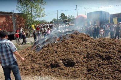 Fındık Kabuğu Yakarak Protesto Ettiler