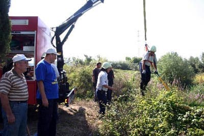 Boğulmak Üzere Olan Buzağıyı İtfaiye Ekibi Kurtardı