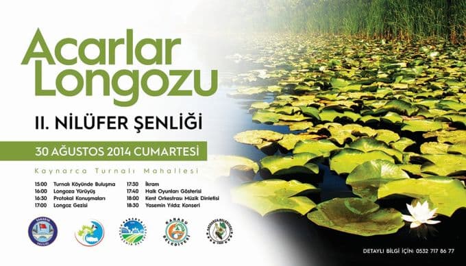Acarlar Longozu 11. Nilüfer Şenliği başlıyor