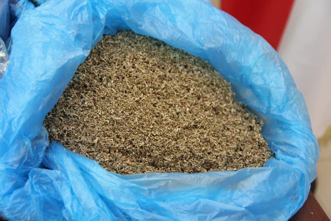 İşte Akyazı'da 109 paket esrar!