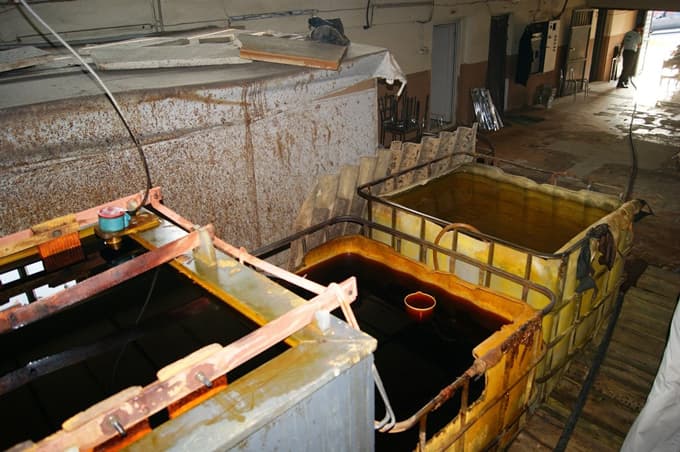 Balık ölümlerine neden olan fabrika kapatıldı