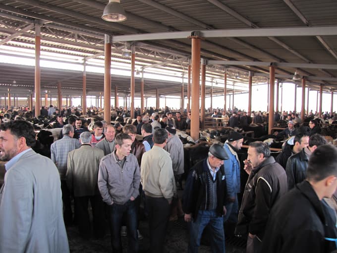 STB Başkanı Mete vatandaşa uyarılarda bulundu