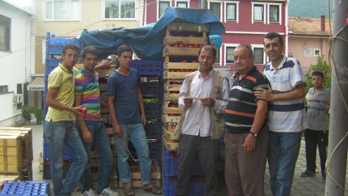 Pazarda salçalık domates telaşı