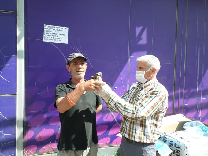 Çark Caddesi'nde yaralı ebabil kuşu bulundu