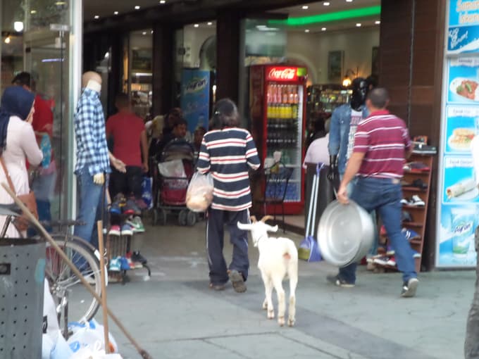 Çark caddesinde köpeğini değil, keçisini gezdirdi!